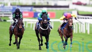 Old Park Star rules supreme for Henderson at Cheltenham