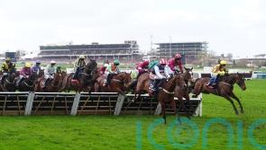 Declan Queally and Nico de Boinville in heated exchange at Cheltenham start