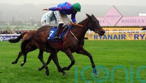 Cheltenham heroine Wodhooh&rsquo;s journey is far from over yet, says Durcan