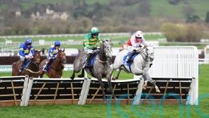 Options open for Saratoga after Cheltenham success
