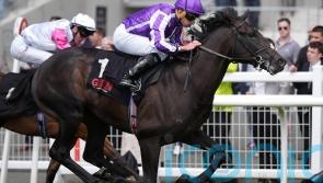 O&rsquo;Brien pondering Gladness start for Albert Einstein