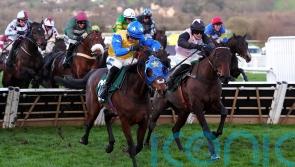 Aintree plans for Hot Fuss after just missing out at Cheltenham