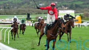 Home By The Lee tops Liverpool Hurdle contenders