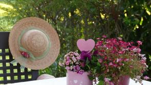 10 things to do in Limerick for Mother's Day 