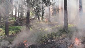 Green Limerick: We are almost at tipping point