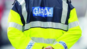 Garda&iacute; investigating as shots fired at home with children inside