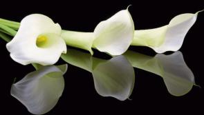 Deaths in Limerick - Friday, May 9, 2025