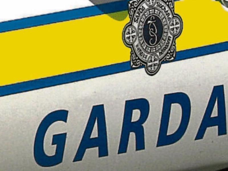 Garda&iacute; investigating dissident republican activity seize firearms and ammunition