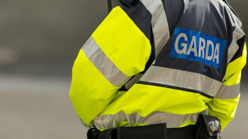 Garda&iacute; renew appeal for witnesses to fatal collision in which man in his 20s died
