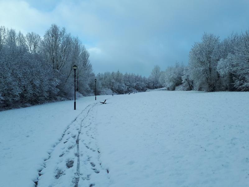 Met Eireann forecasts thaw as Ireland endures another freezing night with -6.6C recorded