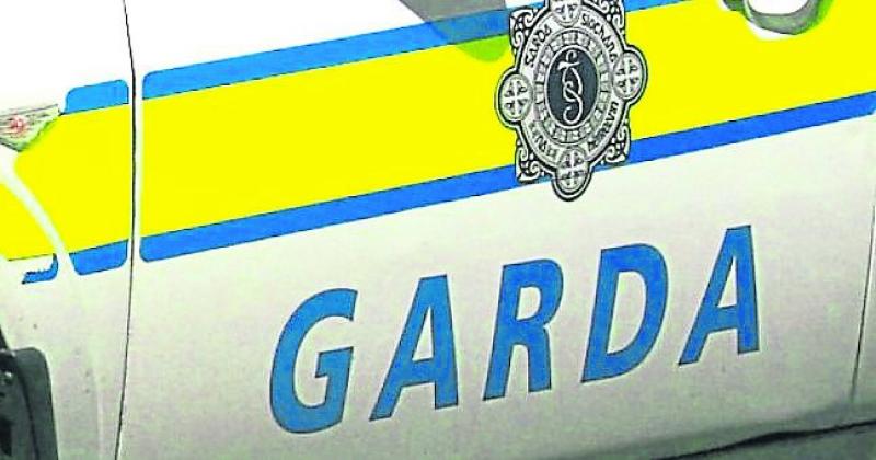 Representative group calls for mandatory driving training for all frontline garda&iacute;