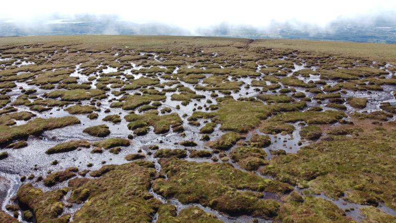 &euro;20m funding approved to conserve 'vitally important' blanket bogs in Ireland