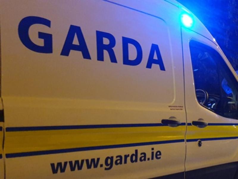 Garda&iacute; in urgent appeal for witnesses as man dies in fatal road crash