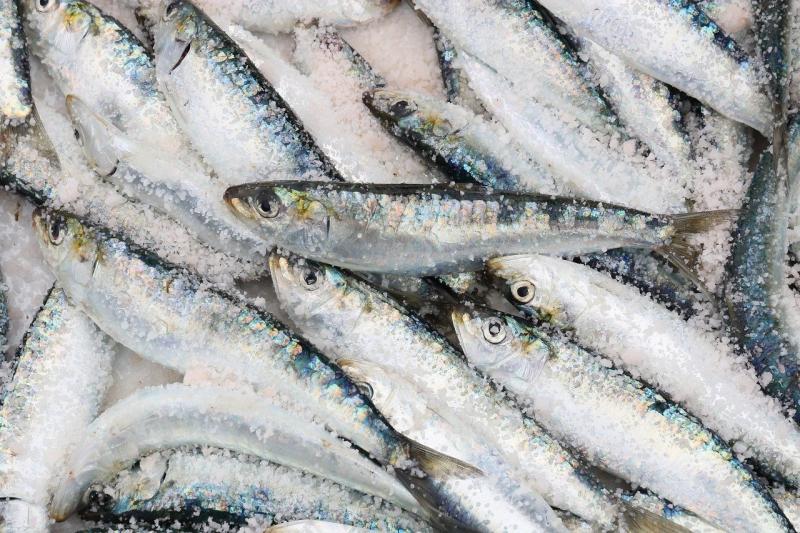 McConalogue approves &euro;45m investment funding for seafood enterprises