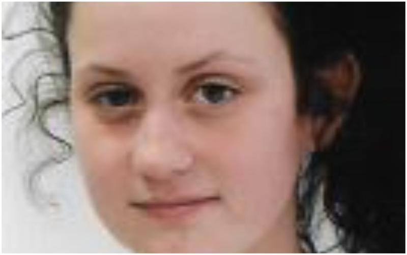MISSING PERSON: Garda&iacute; appeal for missing teenage girl