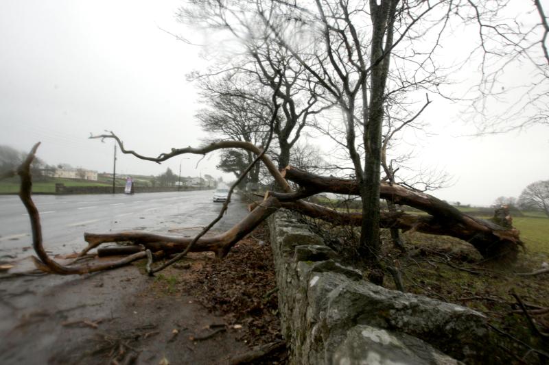 Met &Eacute;ireann issues status yellow wind warning for seven counties this afternoon