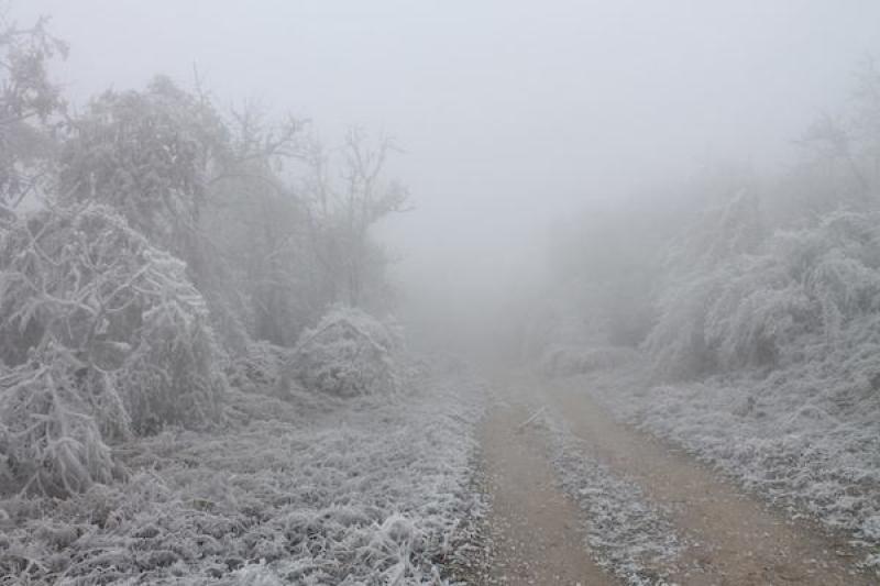 freezing fog