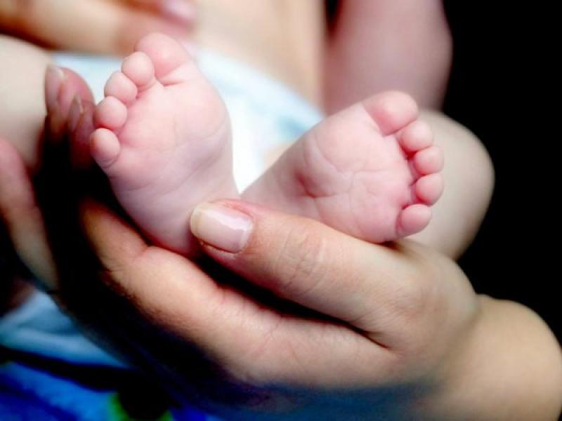 All Irish homes to receive booklet detailing 'historic' new birth information law