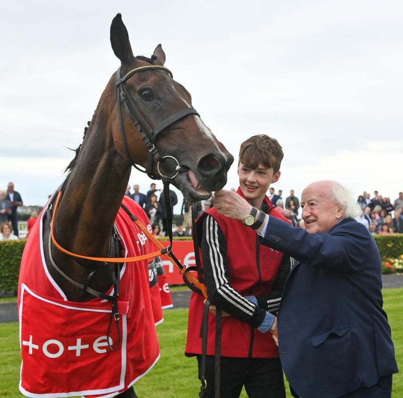 BREAKING: Horse bought in Kilkenny for &euro;850 wins American Grand National