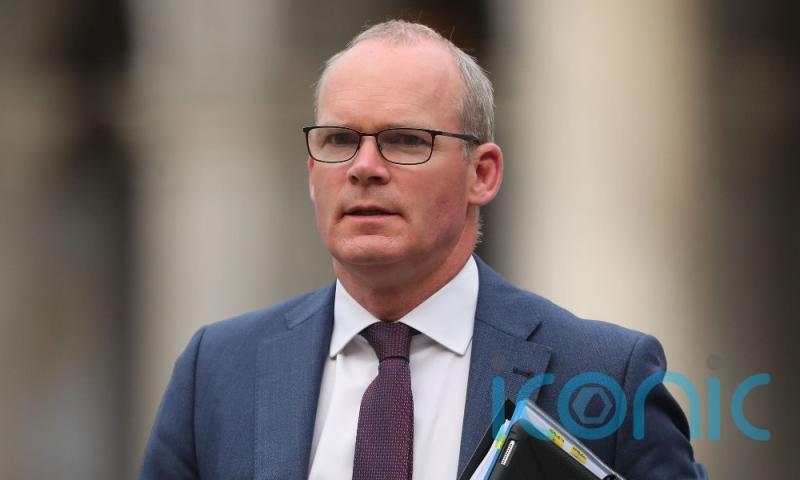 Russian naval exercises off Irish coast 'not welcome' but can't be prevented - Coveney