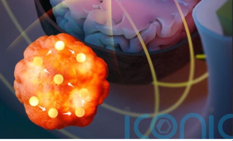 Tiny magnetic seeds can be used to heat and kill brain and prostate tumors, says study