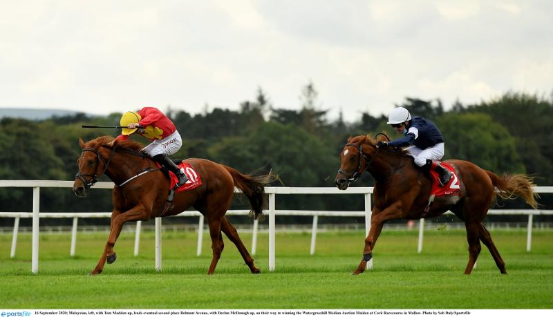 RACING: Top tips and analysis for Cork's card on Thursday