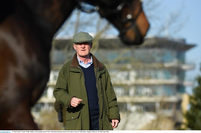 INTERVIEW: Willie Mullins is all about 'team' wins ahead of Punchestown 2022