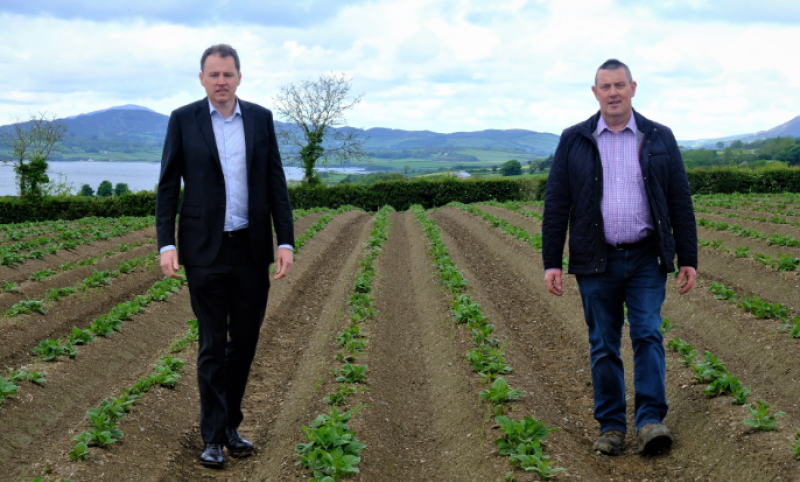 &euro;3m investment will restore Ireland's seed potato sector to its 'heyday' - McConalogue