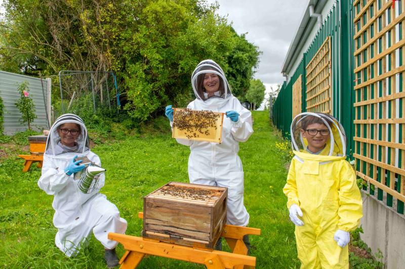 Hospital installs beehives to ease children's fear of stings