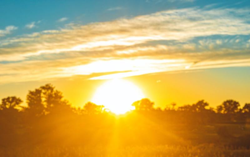 Ireland 'not prepared' for more frequent extreme weather and heatwaves