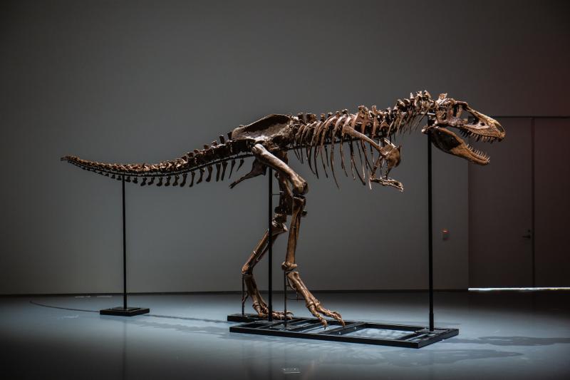 Dinosaur skeleton sells for huge sum at auction