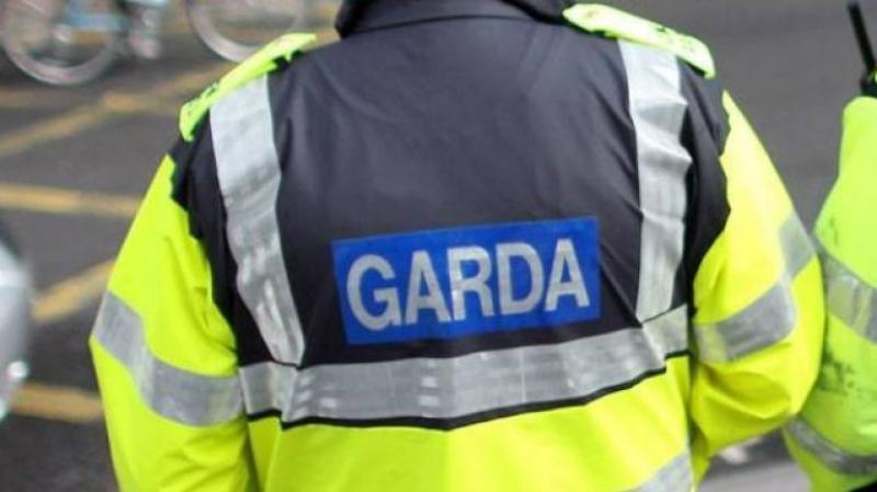 Garda&iacute; appeal for witnesses following assault incident at Electric Picnic