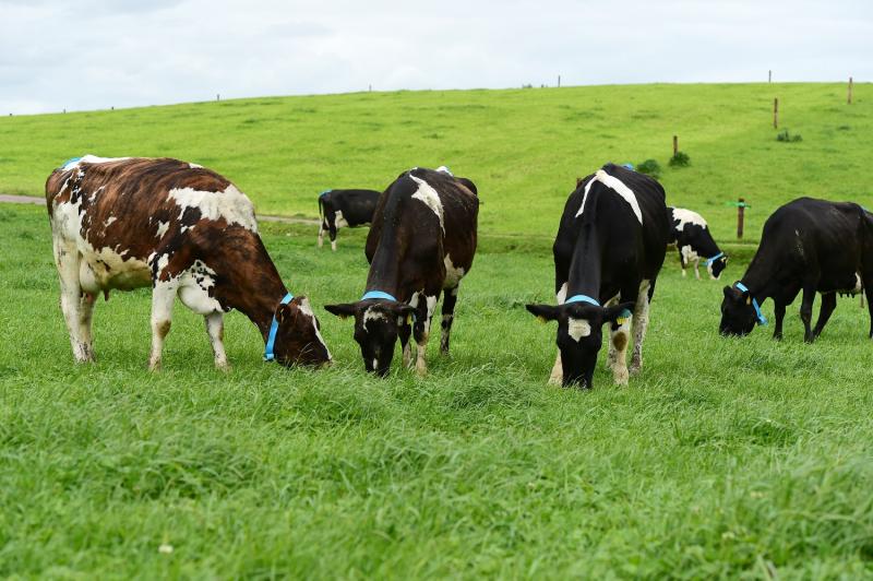 Cost of fertiliser and feeds continue to soar for agriculture industry