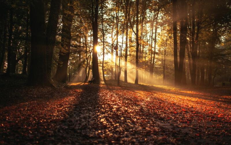 GUIDE: Preparing your child for the autumn clock change