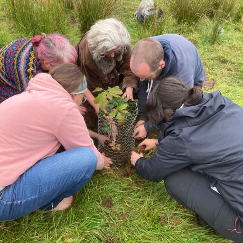 'Coillte has lost our trust' - 150 campaigners pull up Sitka tree saplings from peatland