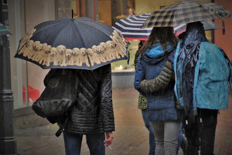 Brollys up! Heavy rain set to batter over a DOZEN counties for next 24 hours