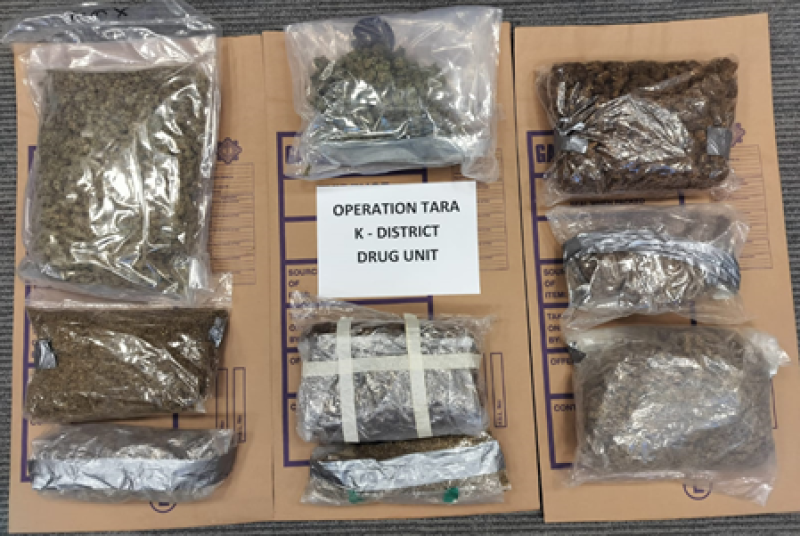 Garda&iacute; arrest man in his 50s after discovery of large cannabis stash
