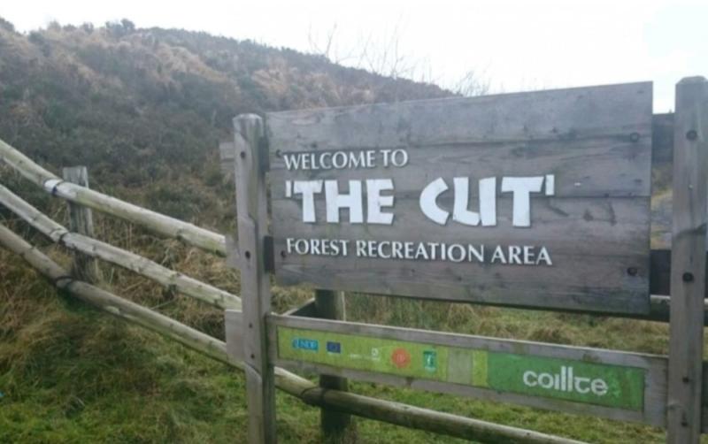 Notoriously 'hard to find' Laois leisure spot's viral signpost has been replaced
