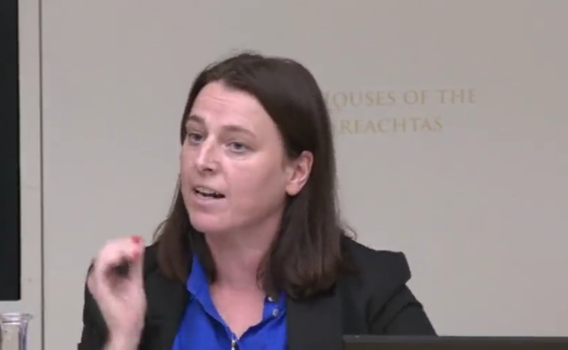 X users blast Irish senator for 'appalling' attitude at euthanasia committee meeting