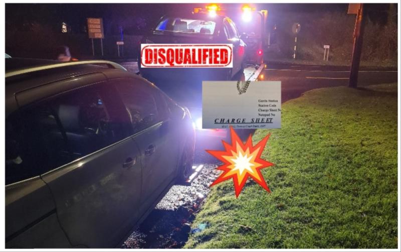 Garda&iacute; crack down on unaccompanied learner drivers at checkpoint