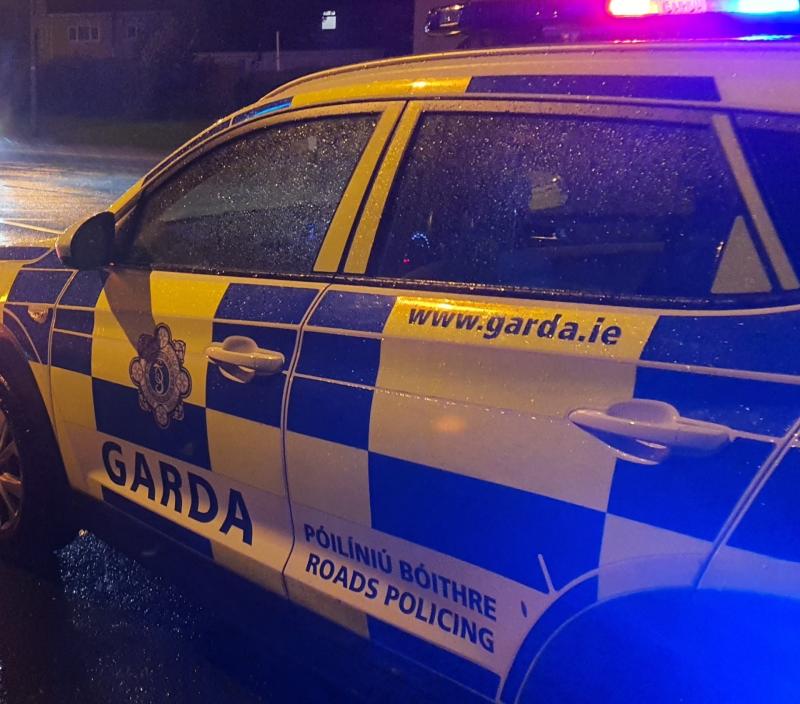 Garda&iacute; appeal for witnesses after incident of arson on New Year's Eve