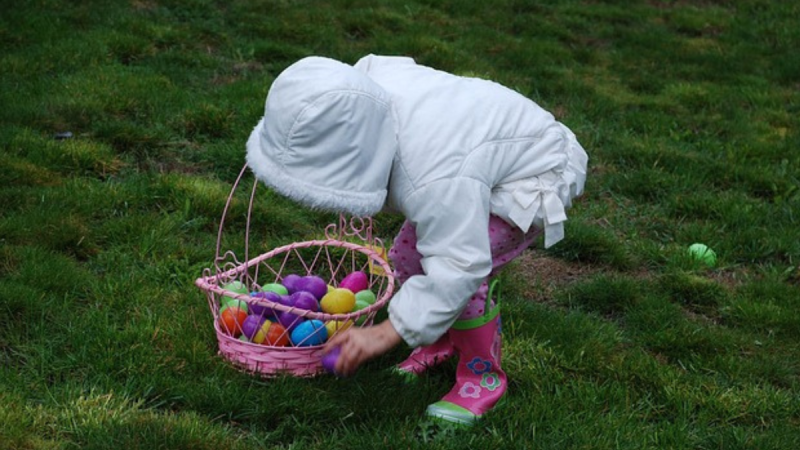 From egg hunts to petting zoos: things to do in Ireland this Easter