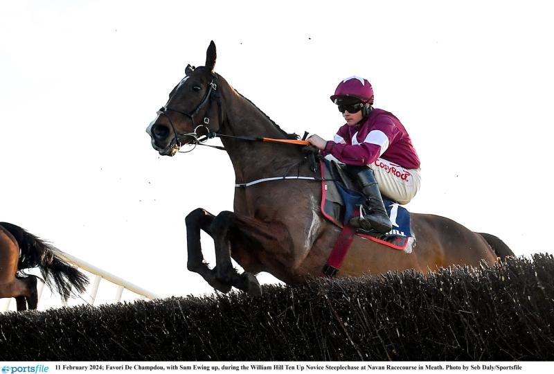 Irish Grand National Tips: 16/1 shot could win the Fairyhouse showpiece