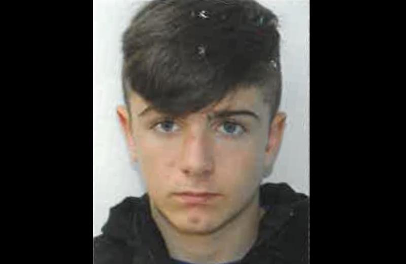 Garda&iacute; renew appeal for teen missing for almost two months