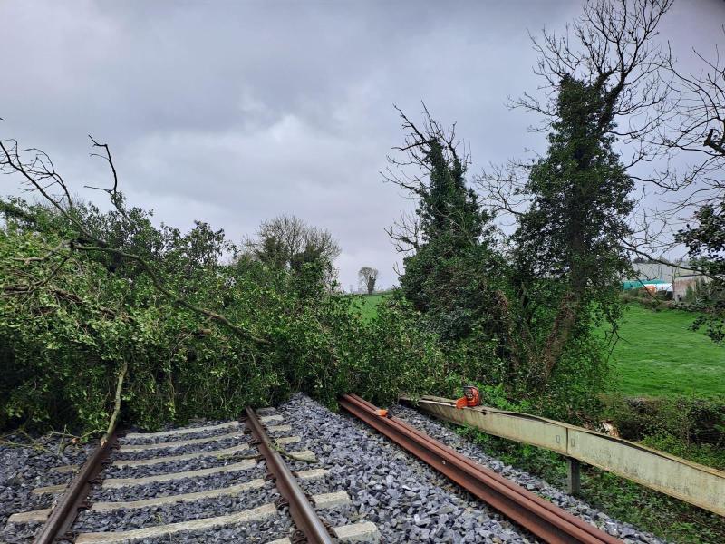 Commuter chaos as train services suspended due to fallen trees during Storm Kathleen