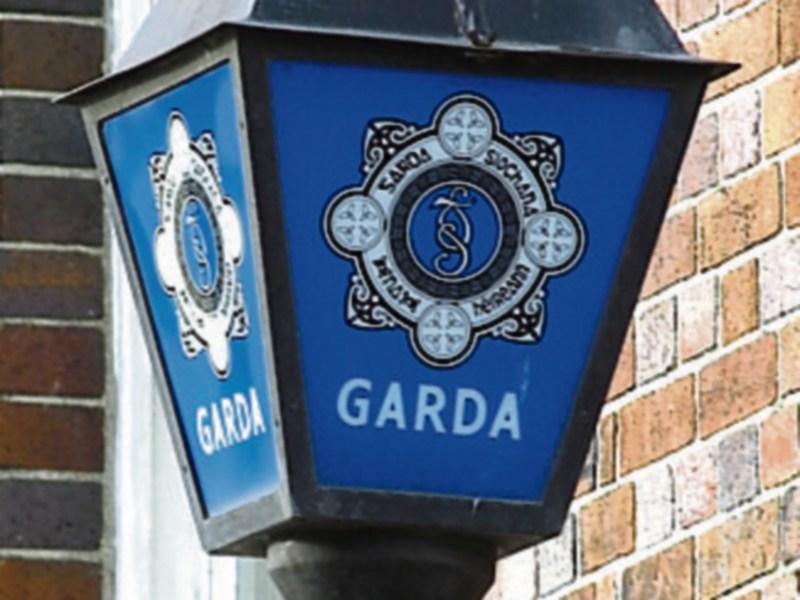 Garda&iacute; appeal for witnesses following crash that left man in his 20s dead 