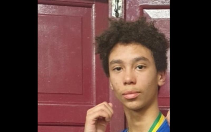 Garda&iacute; stand down search for missing 14-year-old teen