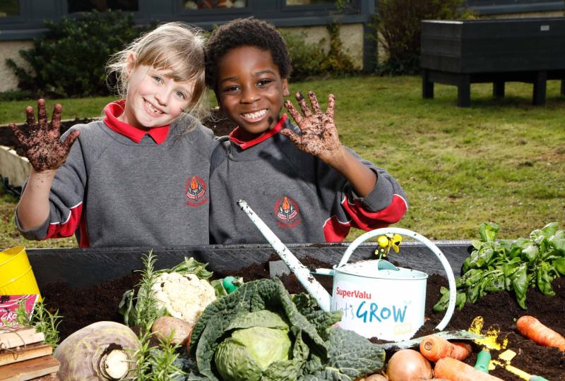 One third of Irish families are growing their food at home