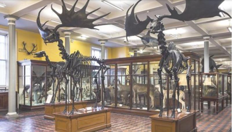 Much-loved 'Dead Zoo' to close for a number of years for refurbishment