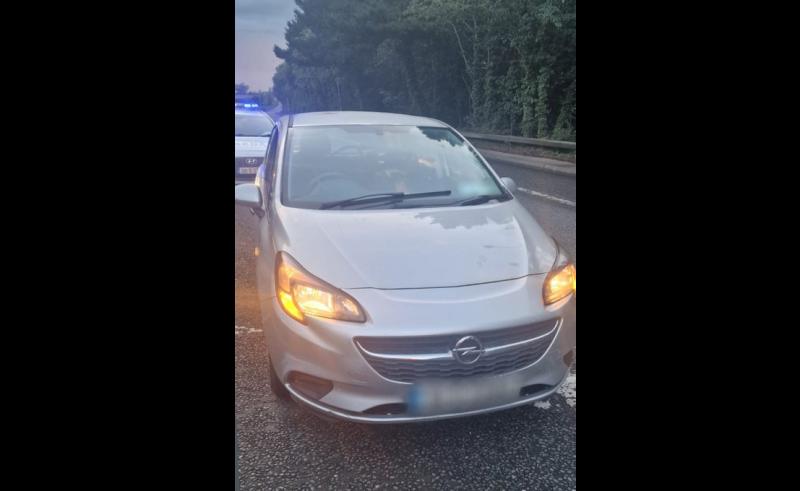 Learner driver going almost 60kp/h stopped by Garda&iacute; and fails drug test